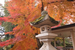 灯篭とモミジ