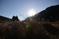 中山道 冬枯れの野