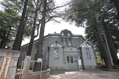 ヒマラヤ杉香る学舎