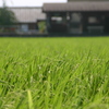 夏麻引く海上潟の沖つ洲に・・・