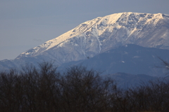 輝く雪面