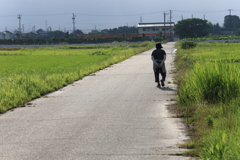早朝散歩