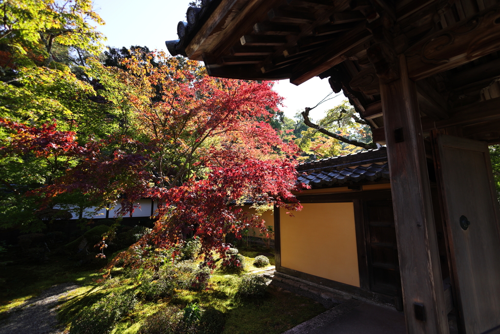 山門の紅葉