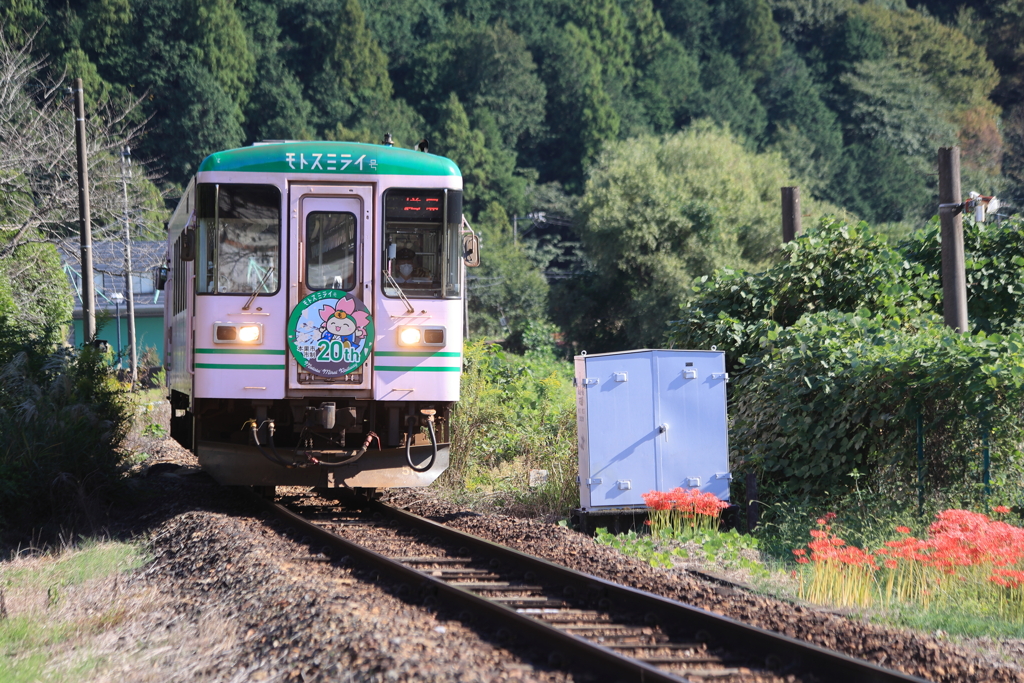 秋のローカル列車