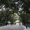 年末詣