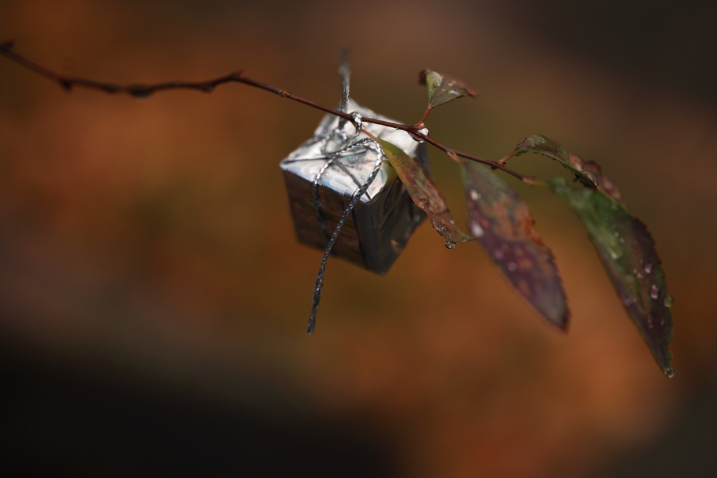 忘れられた贈り物