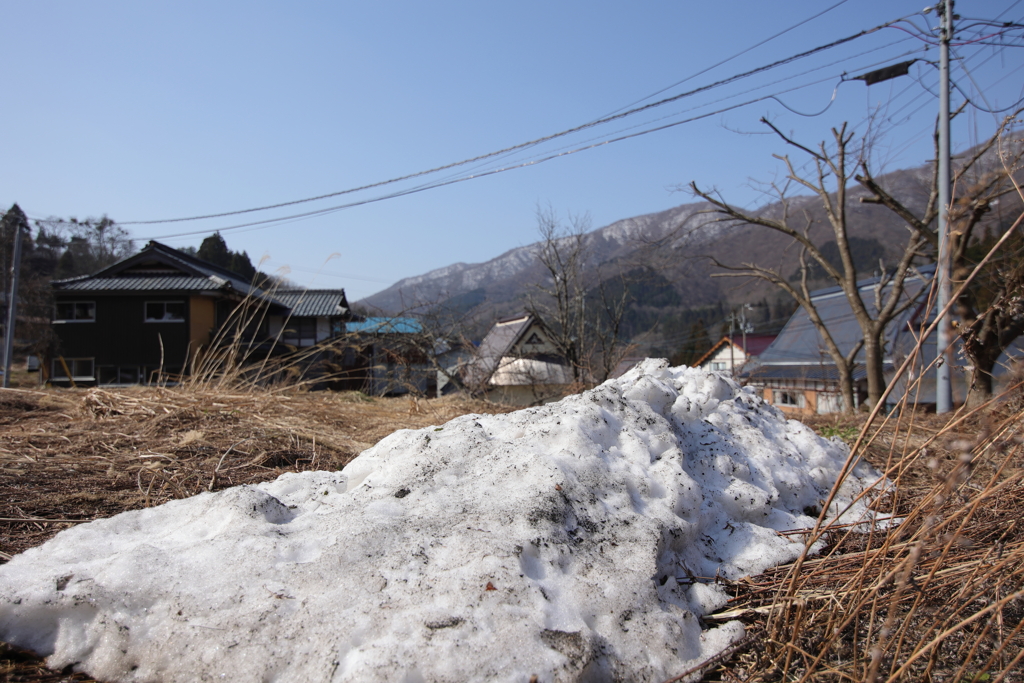 山の春
