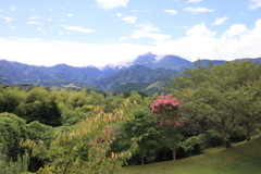 恵那山と百日紅