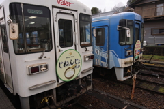 じねんじょ号