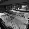 南極観測船の蚕部屋