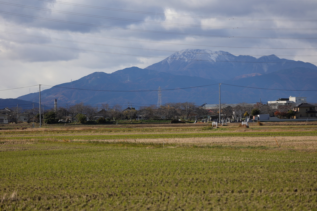 伊吹山冠雪