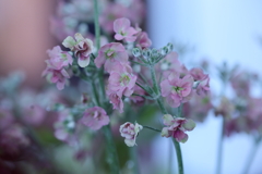 メルヘンな世界