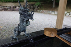 手水舎の可愛い龍