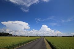 昨日の夏空