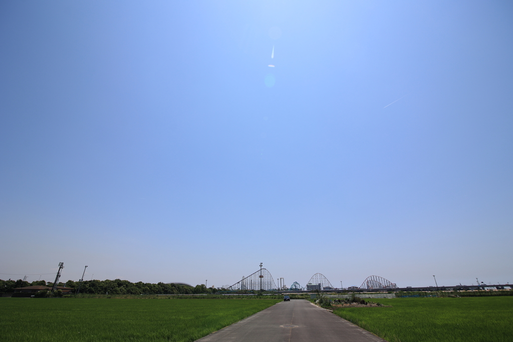今日は暑い！！！