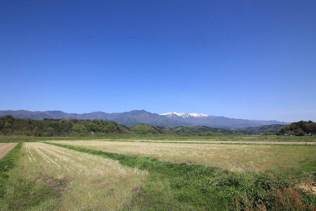 伊那谷の田園風景