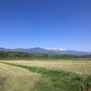 伊那谷の田園風景