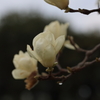 濡れて