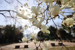 祝福