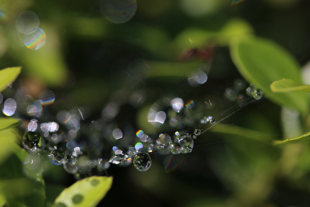 白昼のイルミネーション