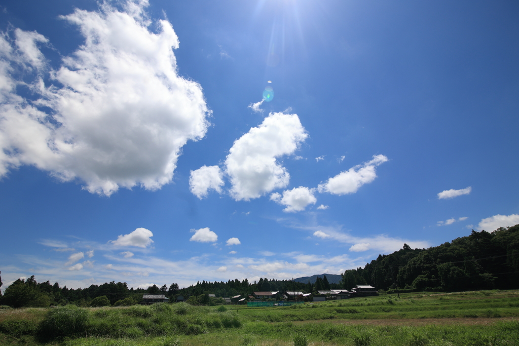 梅雨の晴れ間