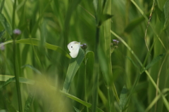 一休み
