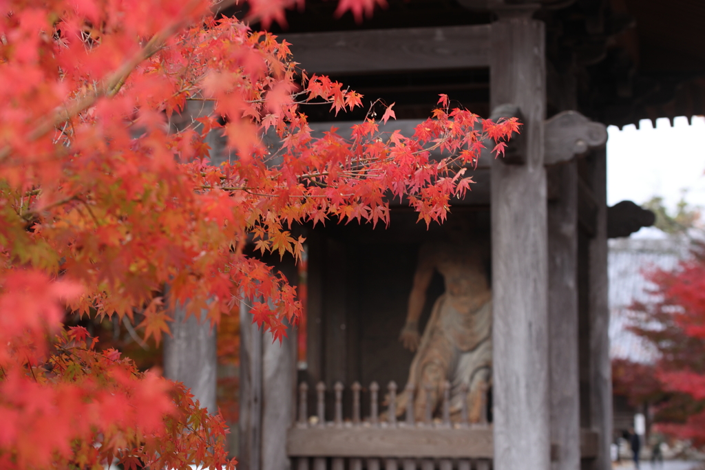 仁王様の紅葉