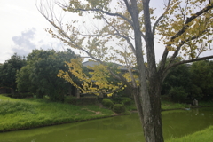 少しだけ秋めく