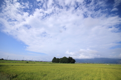 陸の孤島