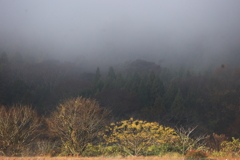 初冬の里山
