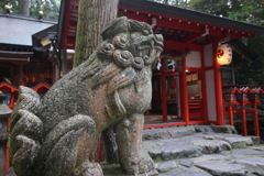 狛犬