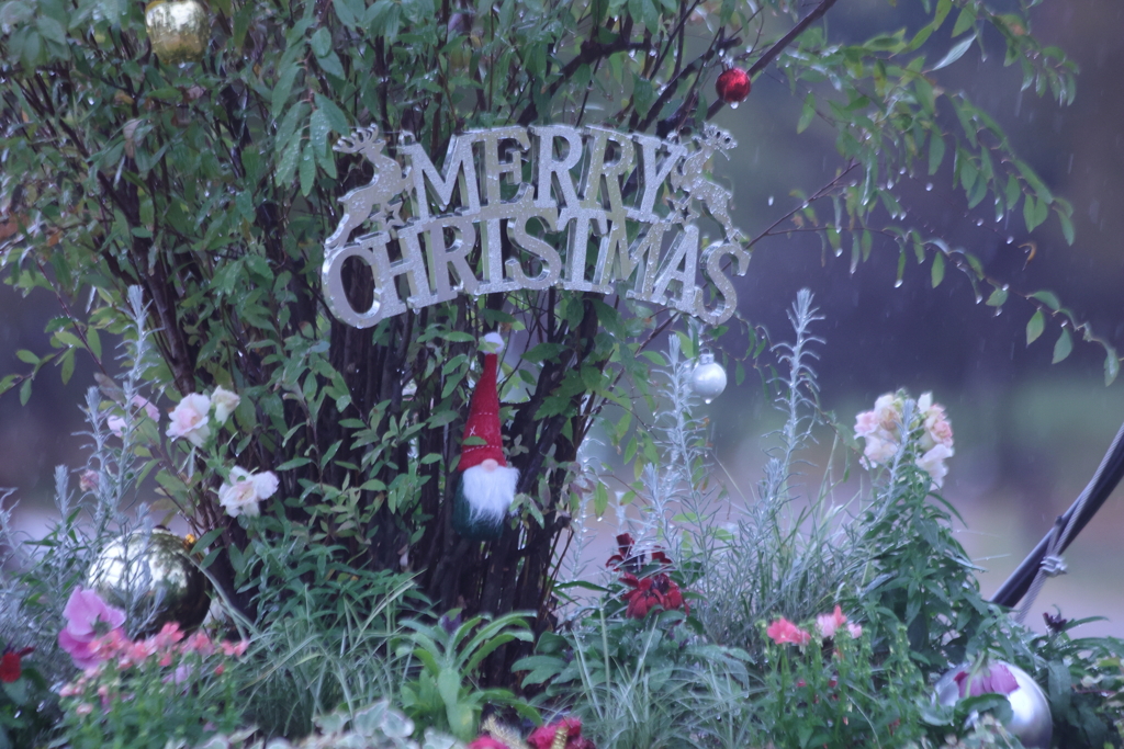 Merry Christmas