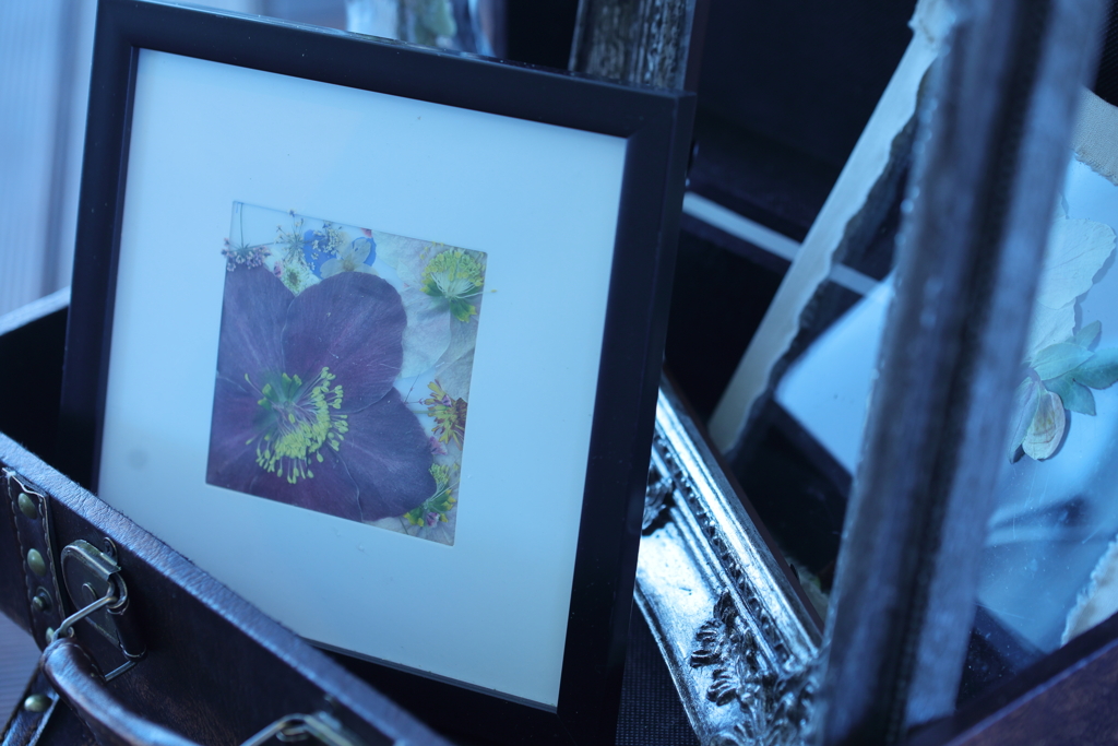 思い出は詰め込んで