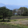 成長する山たち　南アルプス