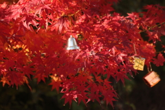 秋模様のクリスマス