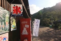 さぁ、今日も暑い