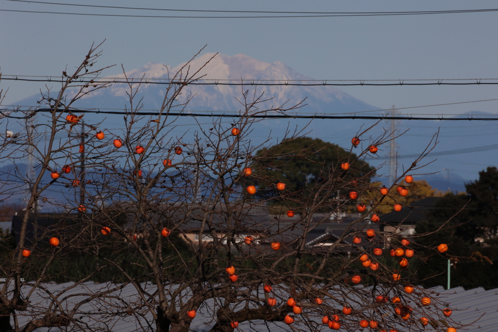 御岳と柿