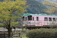 桜色の電車