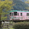 桜色の電車