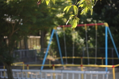 夏の日