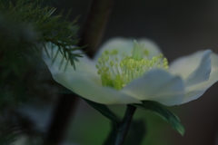 小さな世界