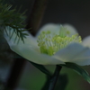小さな世界
