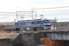 桃太郎が行く