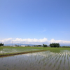 初夏の田園風景