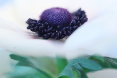 ポチンと