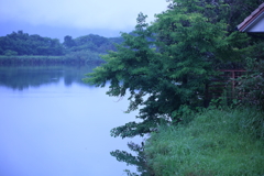涼しさを