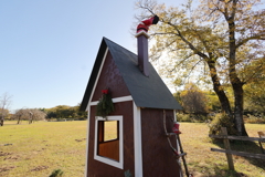 雪の無いクリスマス