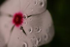 雨粒化粧