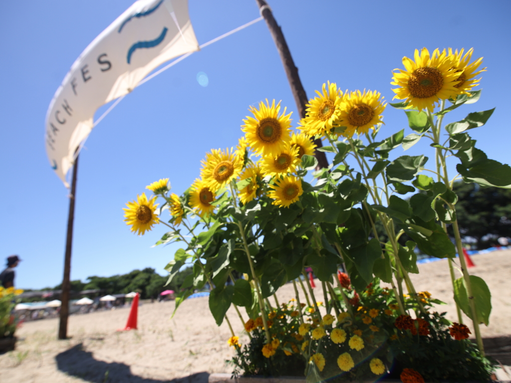 KISO River Beach