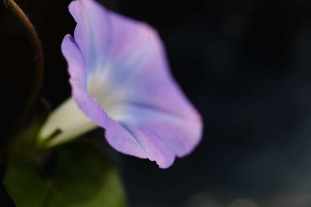 輝き